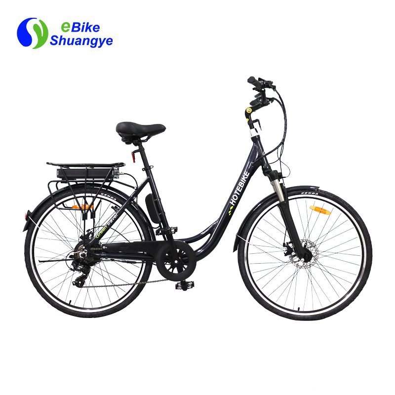 Motor Basikal Elektrik / China Basikal elektrik disesuaikan dengan
